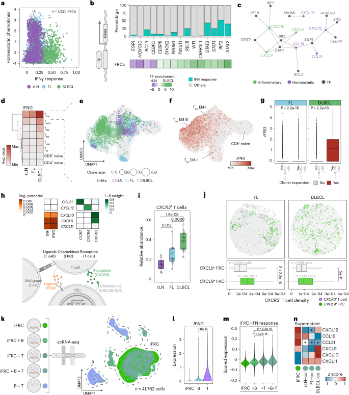 Fig. 3: A reprogramming of LN stromal cells from a functional tissue-organizing state to an inflammatory state underlies the loss of tissue organization in lymphoma.
