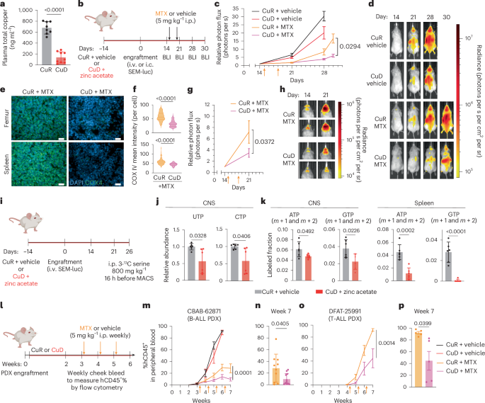Copper depletion boosts CNS leukemia therapy by inhibiting nucleotide synthesis through impairment of mitochondrial complex IV activity