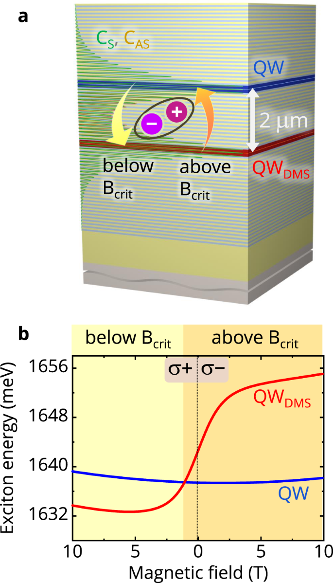Long Distance Coupling And Energy Transfer Between Exciton States In Magnetically Controlled Microcavities Communications Materials