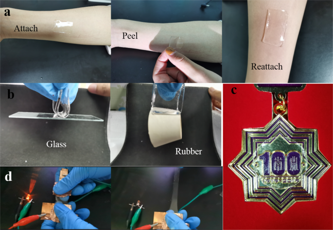 Stretchable slide-ring supramolecular hydrogel for flexible electronic  devices | Communications Materials