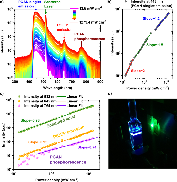 Fig. 3: TTU in PCAN through triplet photosensitization.