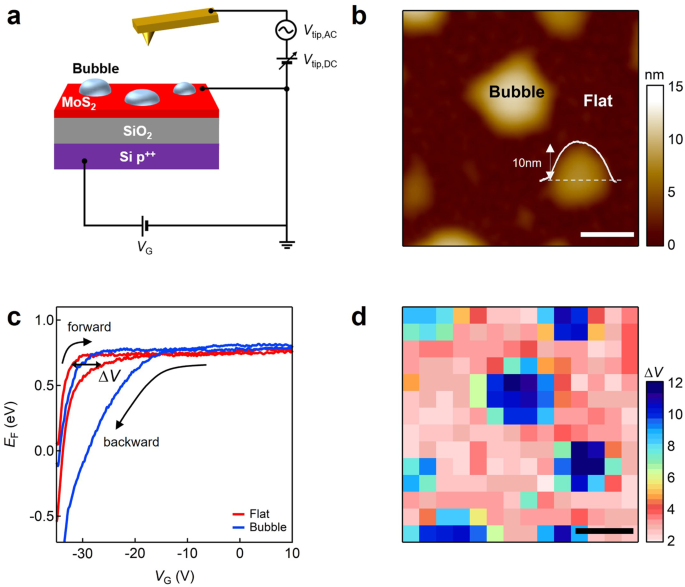 Fig. 1: EF-hysteresis imaging of few-layered MoS2 on a SiO2/Si substrate.