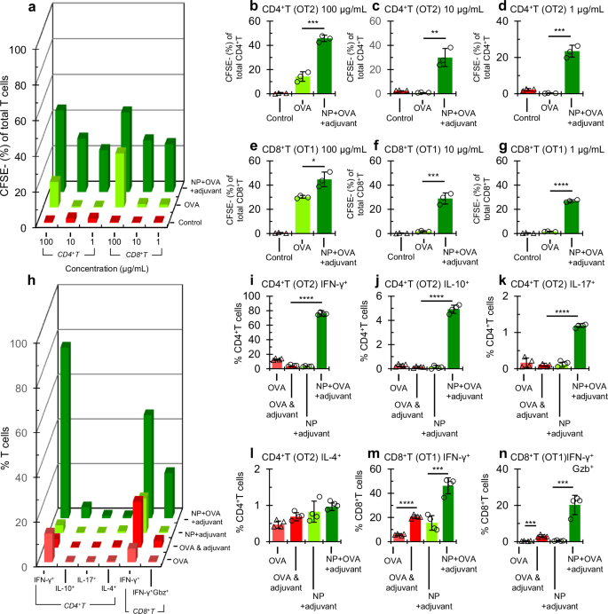 Fig. 3: Comparison of T cell activation (proliferation and cytokine production) induced by bone marrow-derived dendritic cells (BMDC) pulsed with OVA PLG NPs and unmasked unencapsulated OVA in vitro.