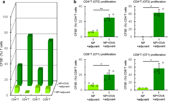 Fig. 4: The proliferative response of CD4 (OT2) and CD8 (OT1) T cells to OVA nanoparticles in vivo.
