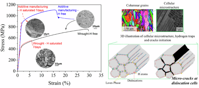 Influence of dislocation cells on hydrogen embrittlement in wrought and ...