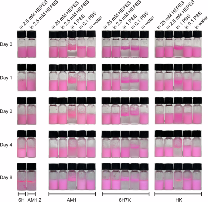 Fig. 2: Images of emulsions over eight days.
