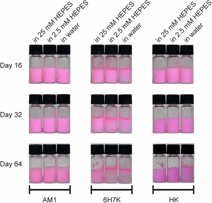 Fig. 8: Stability of AM1,6H7K and HK emulsions over 64 days.