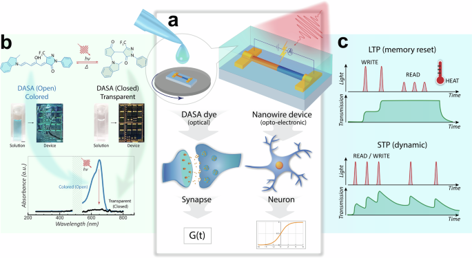 Fig. 1: DASA photoswitch synaptic effect and fundamental function with III-V optoelectronic components.