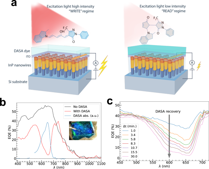 Fig. 2: Fundamental dynamics of dye system on a NW chip.