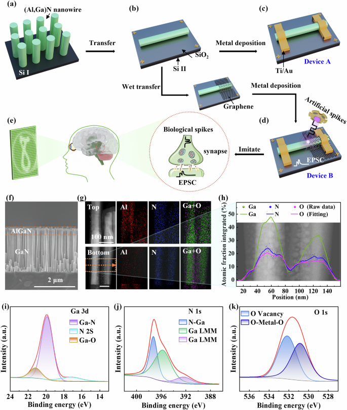 Fig. 1: Schematic diagrams of device preparation processes and digital recognition.