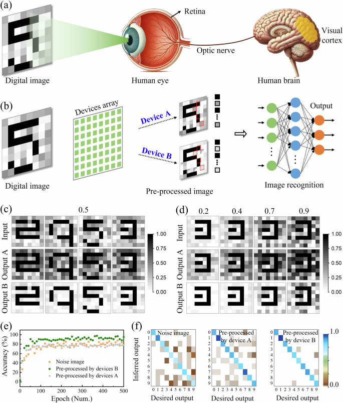 Fig. 5: Artificial neuromorphic vision system and simulated image recognition employing the artificial synaptic devices.