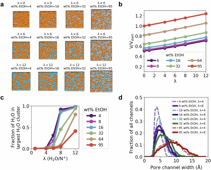 Fig. 1: Molecular dynamics modeling of PiperIon® system during drying.