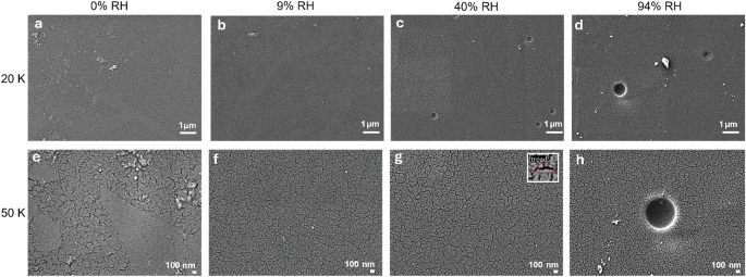 Fig. 2: SEM displaying ionomer film morphology.