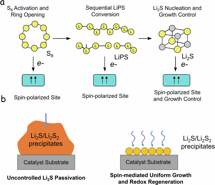 Fig. 16: Spin effect on sulfur reduction reaction.