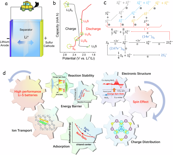 Fig. 1: The effect of spin catalysis in LSBs.