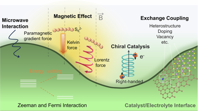 Fig. 3: General scheme showing the influence of the magnetic field on catalysis and additional strategies to modify electronic spins within the system.