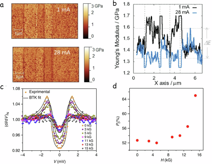 Fig. 7: Spin state characterization.