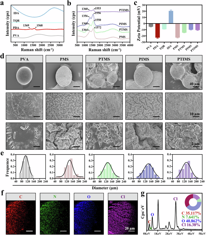 Fig. 2: Physicochemical properties of PTIMS.