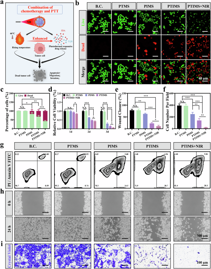 Fig. 4: The anti-tumor effect of PTIMS + NIR in vitro.