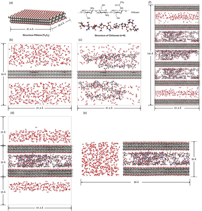 Fig. 8: Molecular geometry of MXene/CS nanosheets.