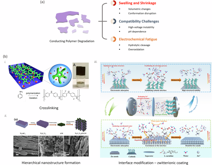 Fig. 5: Degradation mechanisms and engineering strategies for enhancing CP stability.