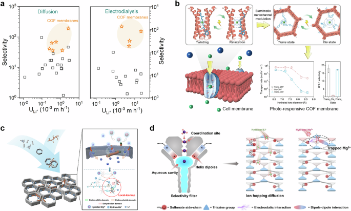 Fig. 10: COF membrane with precise and smart nanochannels for ion separation.
