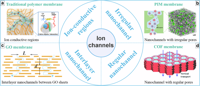 Fig. 1: Ion-selective channels in various membranes.