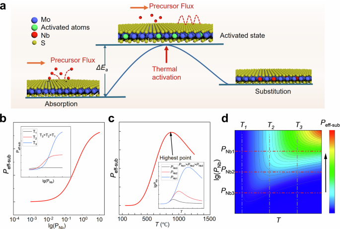 Fig. 2: Thermodynamic-kinetic modeling of Nb substitution on MoS2.