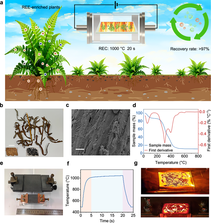 Fig. 1: Extraction of REE by rapid electrothermal activation.