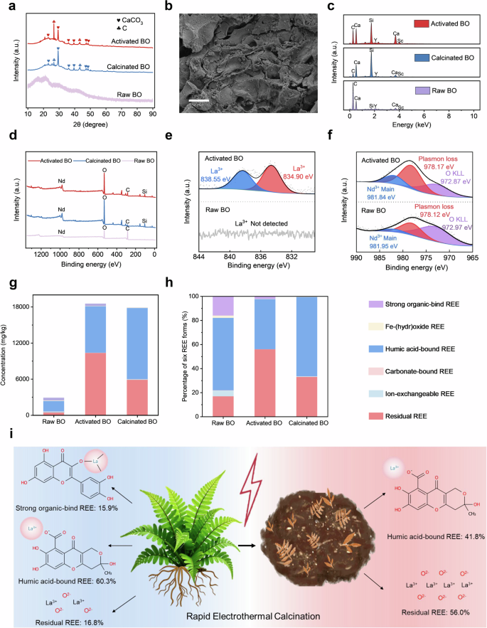 Fig. 3: Mechanism of the improved REE extractability by the electrothermal activation.