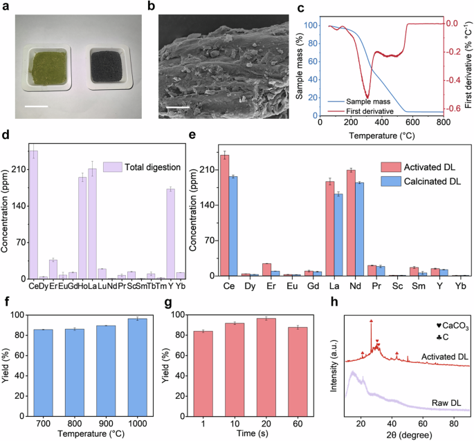 Fig. 4: Extraction of REE from DL.