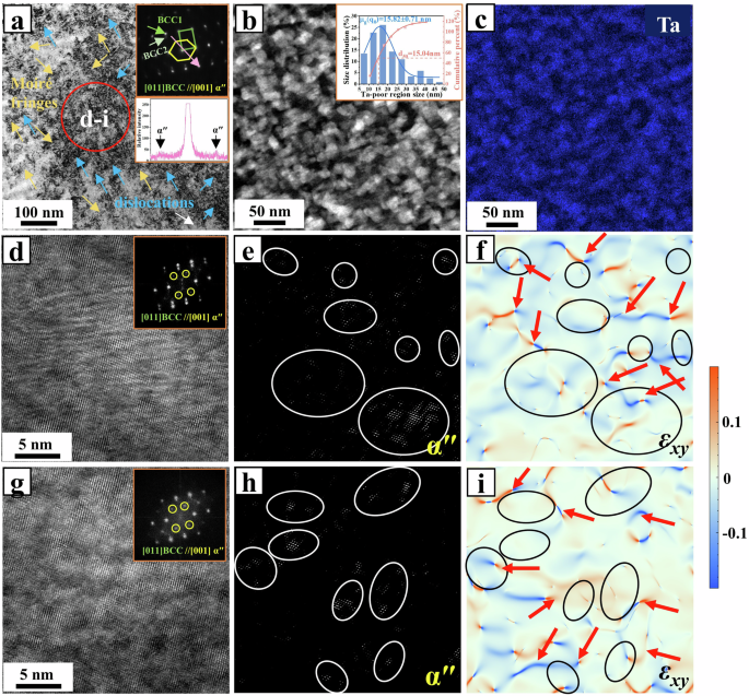Fig. 2: The TEM microstructure of the SA alloy.