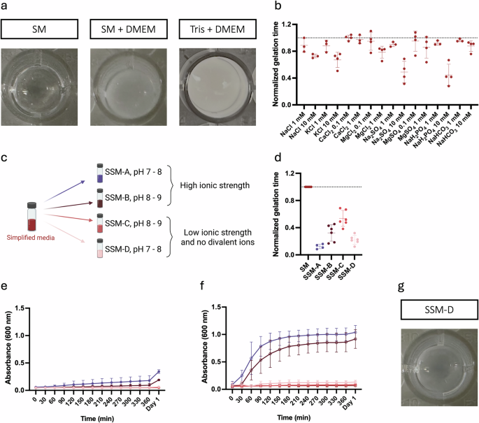 Fig. 3: Salt composition and CO2 modulate gelation kinetics and turbidity of the mini-spidroin A3I-A in simplified media.