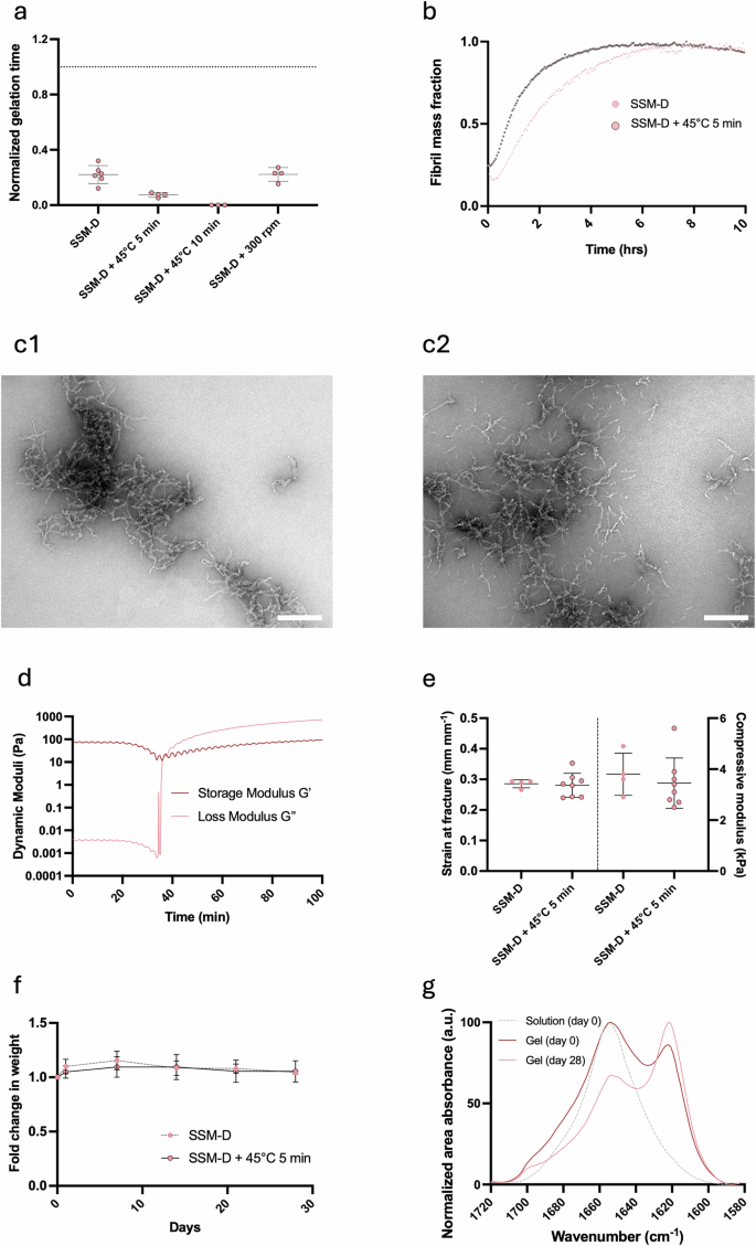 Fig. 4: Physicochemical properties of optimized A3I-A hydrogels in SSM-D.