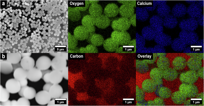 Fig. 2: SEM-EDX data of ACH particles observed after depositing a cementitious pore solution, separated 15 min after the start of hydration, onto a TEM grid.