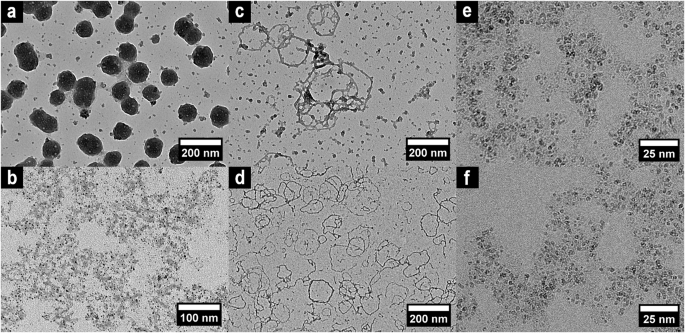 Fig. 4: Electron micrographs of ACH nanoparticles observed on differently prepared TEM grids.