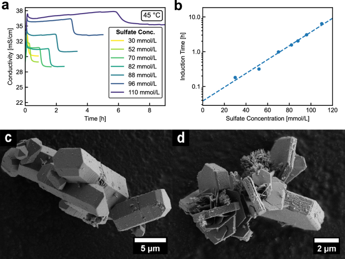 Fig. 8: Dependence of the induction time for CH precipitation from cementitious pore solution on the sulfate concentration of the solution.