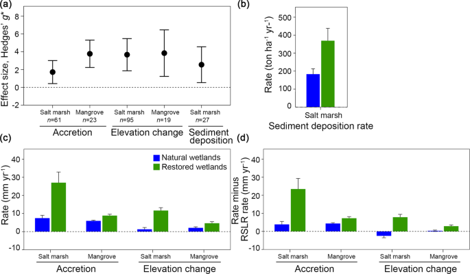 Increasing Salt Marsh Elevation Using Sediment Augmentation: Critical  Insights from Surface Sediments and Sediment Cores