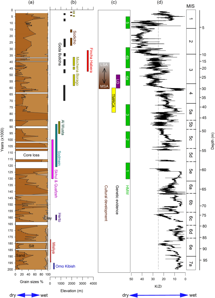 13. Precessional cycles in grain-size parameters recorded at site GeoB