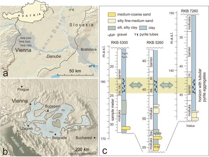 Fig. 1: Location of the study site and summary stratigraphy of the studied cores.