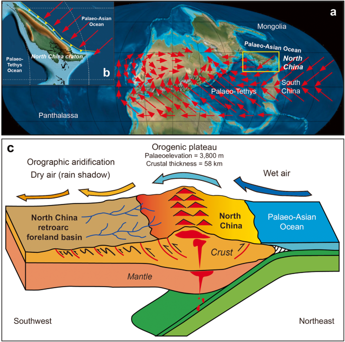 Decratonization by rifting enables orogenic reworking and