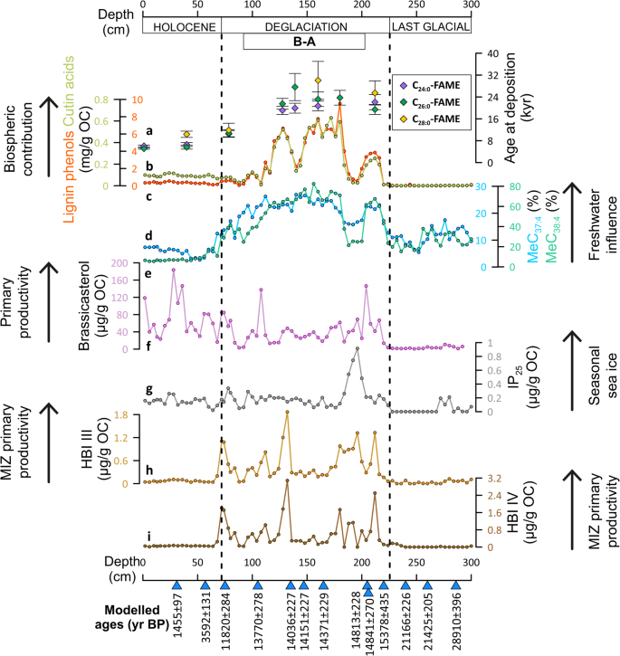 Fig. 3: Biomarker fingerprint of the exotic organic material.
