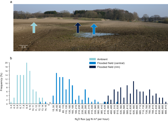 Fig. 2: The frequency of N2O fluxes measured at three categories of fields.