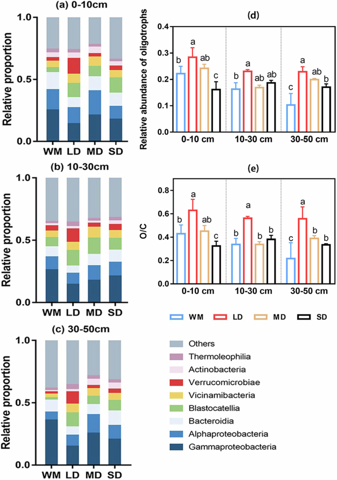 Fig. 4: Composition of bacterial communities and the relative abundance of bacterial groups classified according to different life strategies at different soil depths under varying degradation levels.