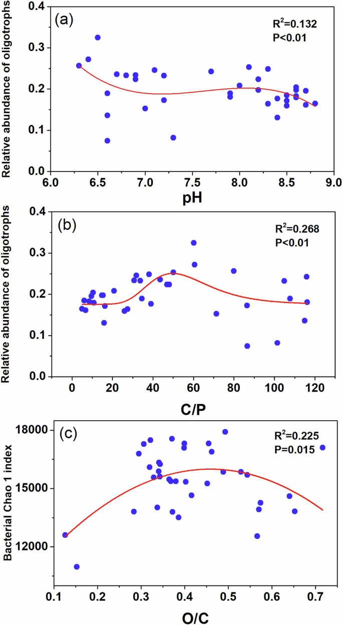 Fig. 7: Relationships between the relative abundance of oligotrophic bacteria and soil pH and C/P, and relationship between bacterial O/C and the Chao1 index under wetland degradation.