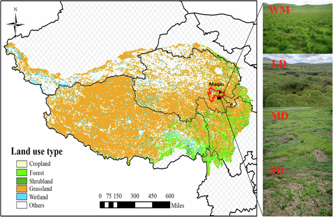 Fig. 8: Sample locations and photos in Maqin County on the Tibetan Plateau.