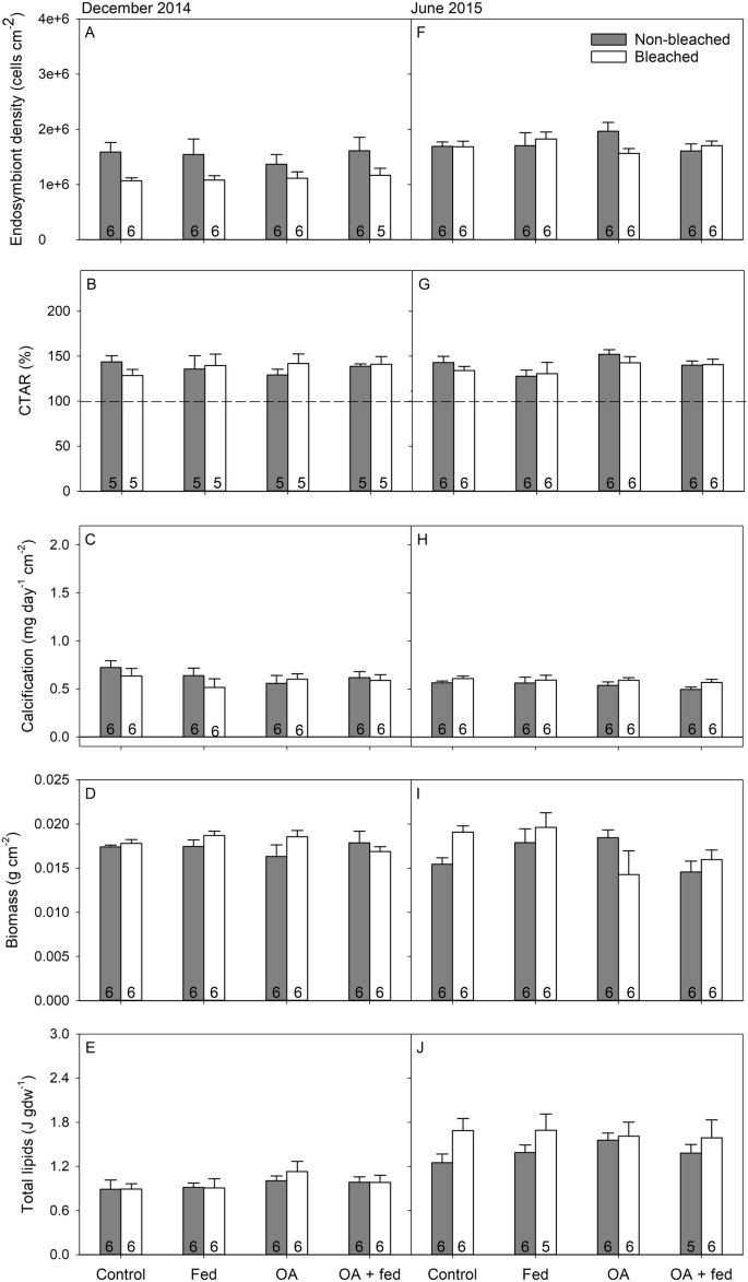 Fig. 3: Physiology of Montipora capitata from Waimānalo Bay in December 2014 and June 2015.