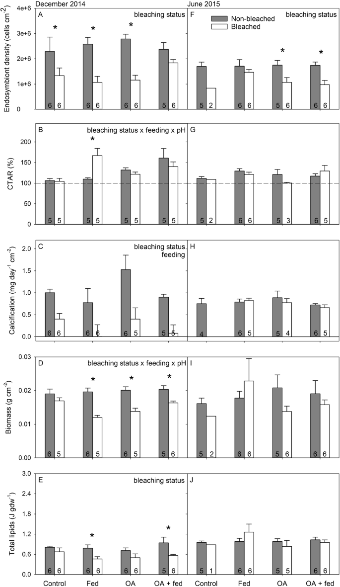 Fig. 4: Physiology of Porites compressa from Kāneʻohe Bay in December 2014 and June 2015.