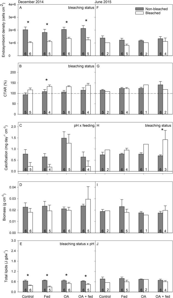 Fig. 5: Physiology of Porites compressa from Waimānalo Bay in December 2014 and June 2015.