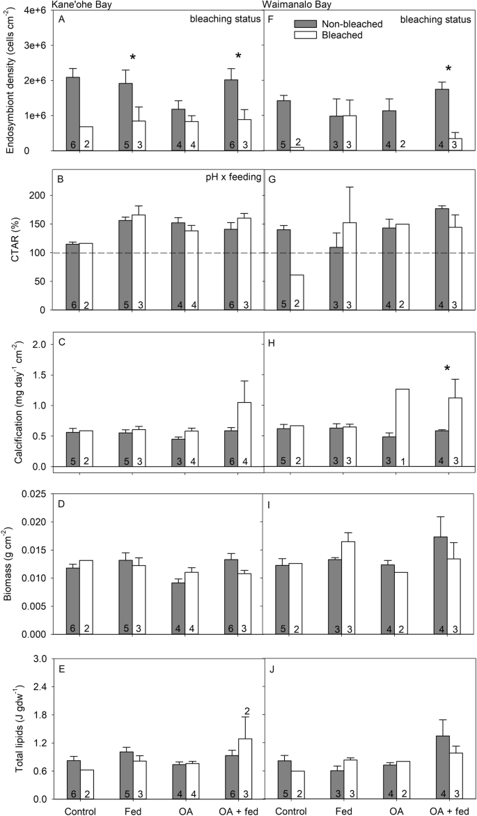 Fig. 6: Physiology of Montipora capitata from Kāneʻohe Bay and Waimānalo Bay in November 2015.